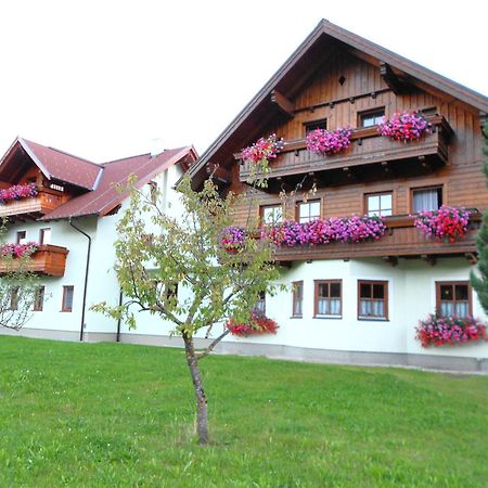 Pension Thorerhof Haus im Ennstal Bagian luar foto