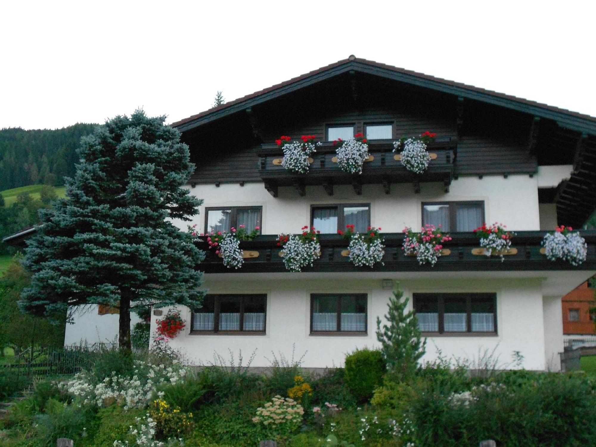 Pension Thorerhof Haus im Ennstal Bagian luar foto